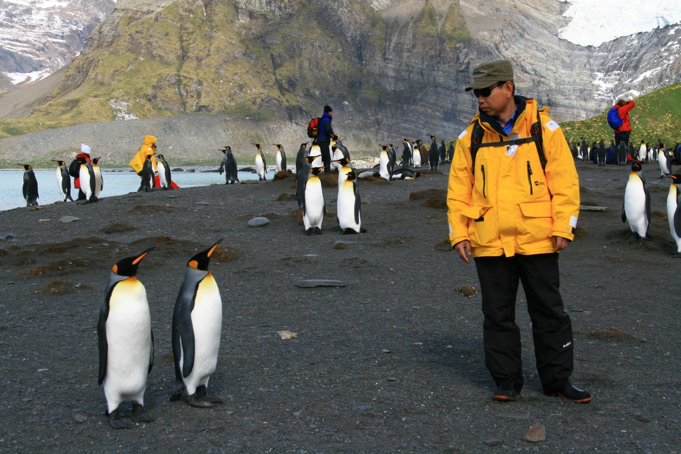 Li Dongfei, one of G&G leaders, gets up close to friendly Emperor penguins in Antarctica