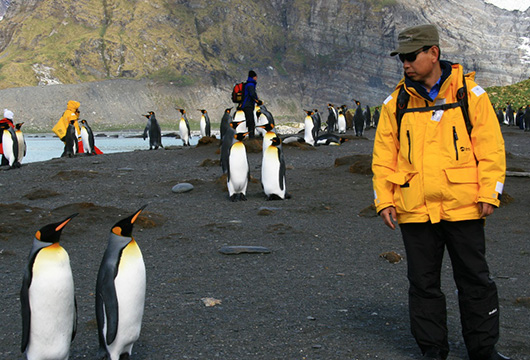 G&G Calls for Action to Preserve Endangered Emperor Penguins